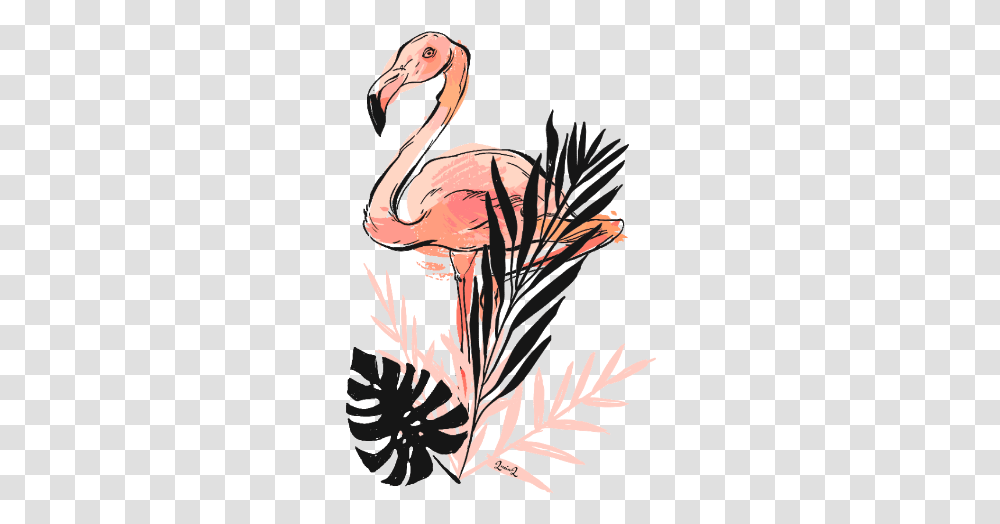 Flamingo Pinkflamingo Leaves Flamingoandleaves Greater Flamingo, Bird, Animal Transparent Png