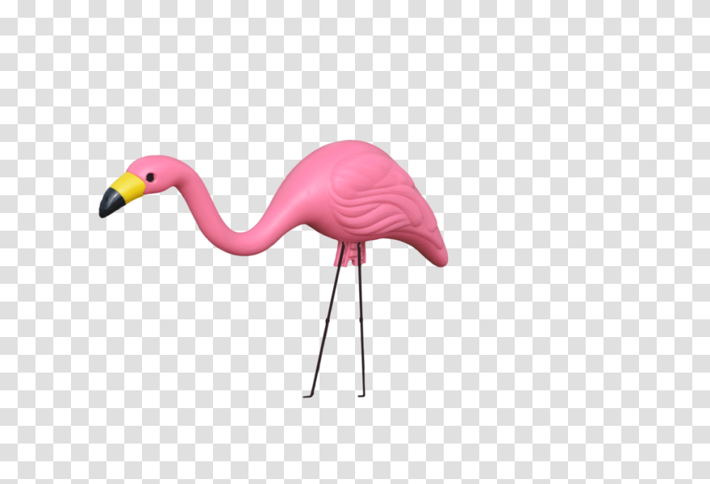Flamingo Plastic Lawn Flamingo, Bird, Animal Transparent Png