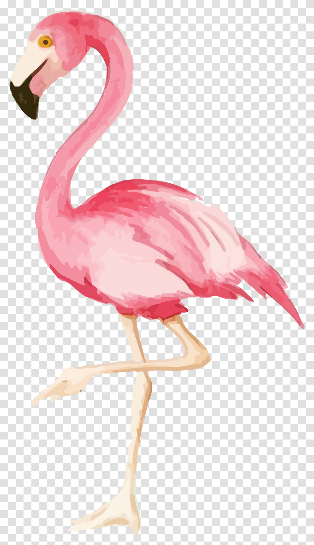 Flamingo Print Party Watercolor Flamingo Background, Bird, Animal Transparent Png