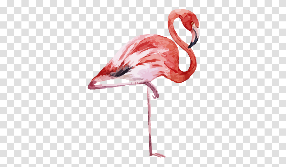 Flamingo Printing Canvas Print Printmaking, Bird, Animal, Lamp, Beak Transparent Png