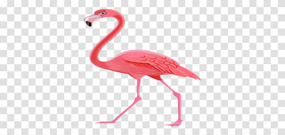 Flamingo Roblox, Bird, Animal Transparent Png