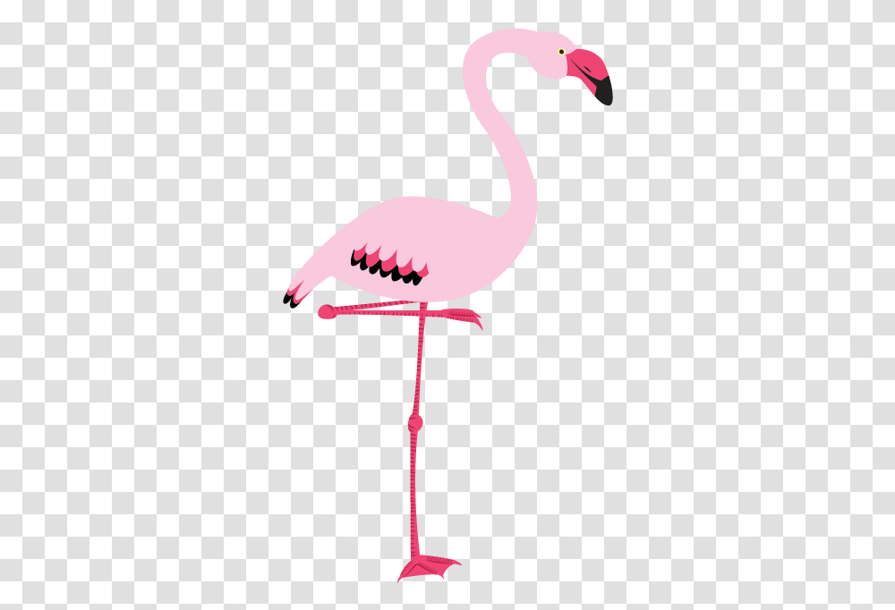 Flamingo Rosa 2 Image Fenicottero, Bird, Animal Transparent Png