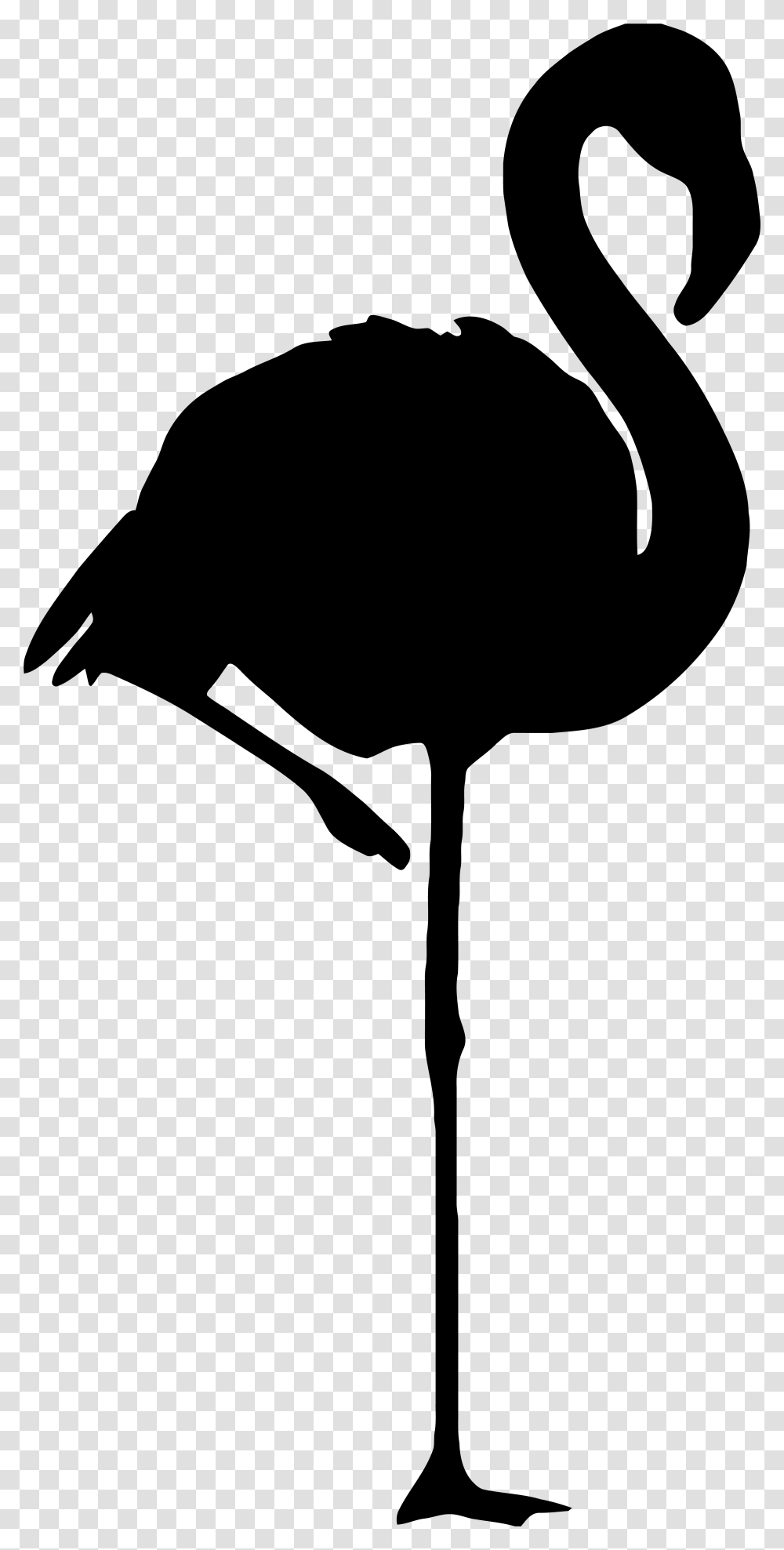Flamingo Silhouette, Bird, Animal, Stencil, Waterfowl Transparent Png