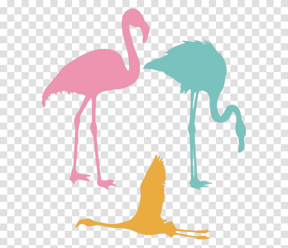 Flamingo Silhouette Flamenco Volando, Bird, Animal Transparent Png
