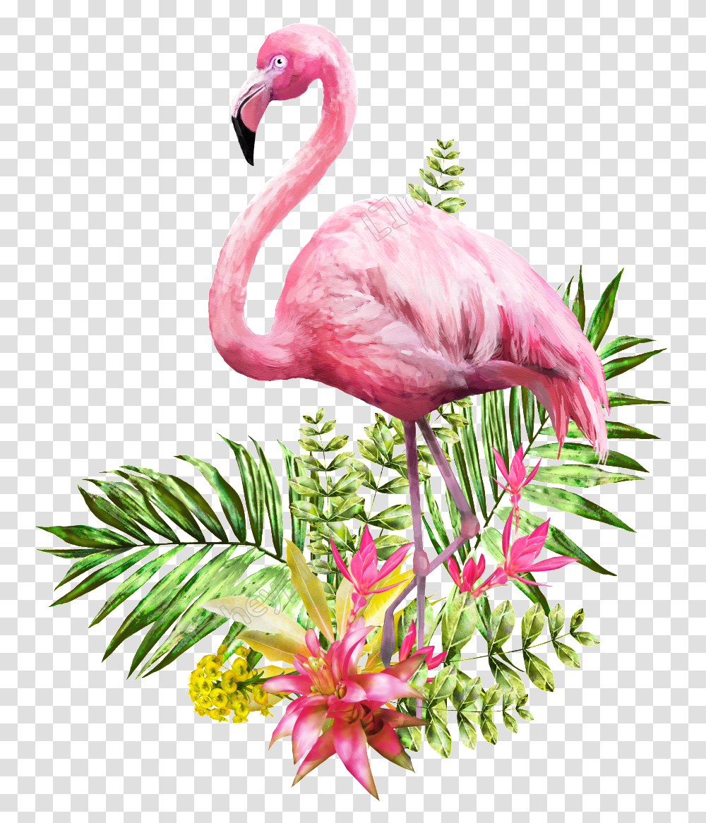 Flamingo Standing In Flowers And Grass Background Flamingo, Animal, Bird, Plant, Blossom Transparent Png