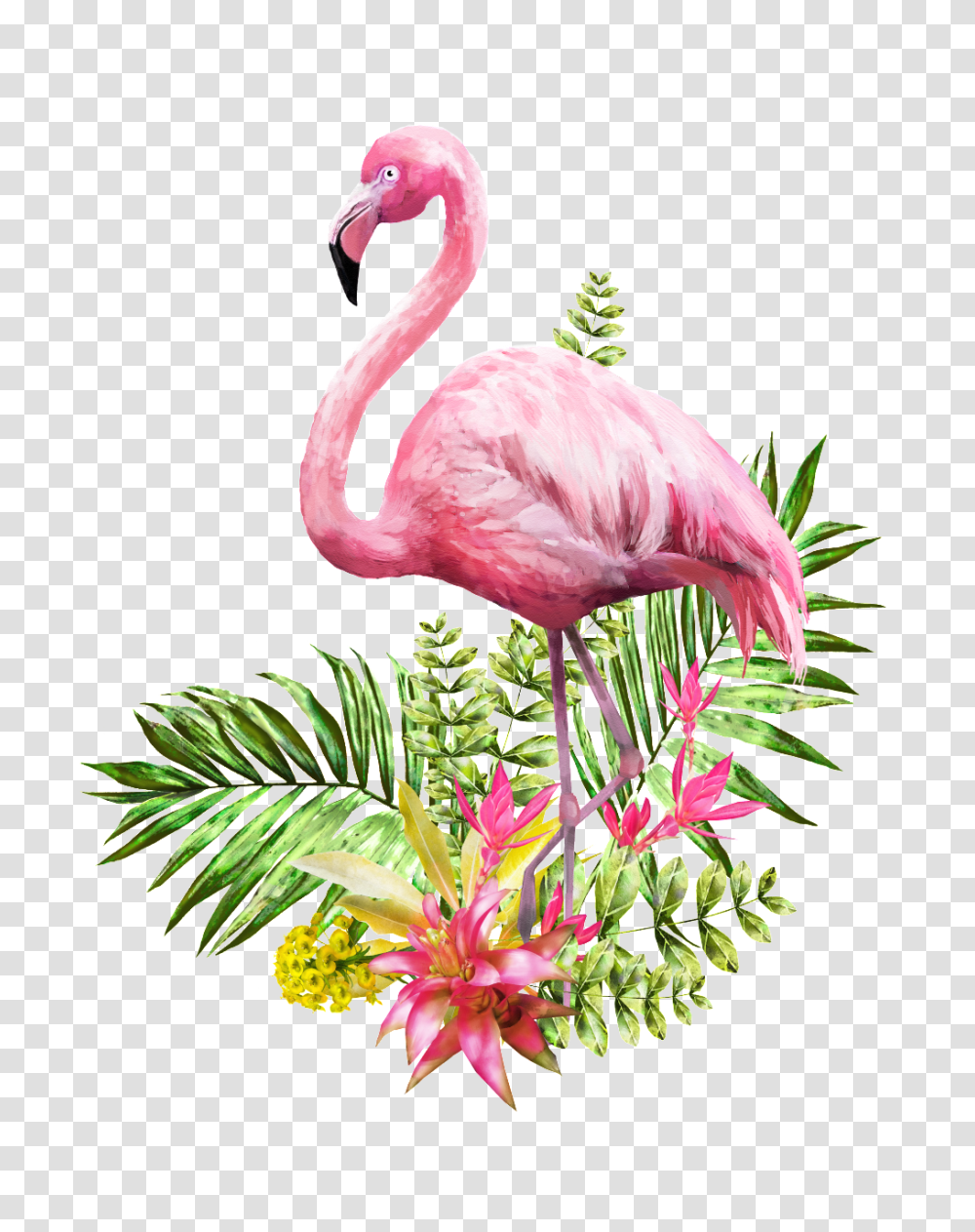 Flamingo Standing In Flowers And Grass Free, Animal, Bird Transparent Png