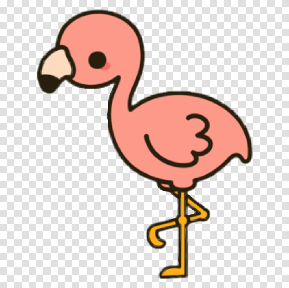 Flamingo Tropical Cute, Animal, Bird, Dodo Transparent Png