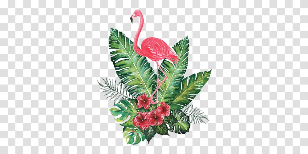 Flamingo Tropical Image With No Tropical Flamingo, Plant, Flower, Blossom, Leaf Transparent Png