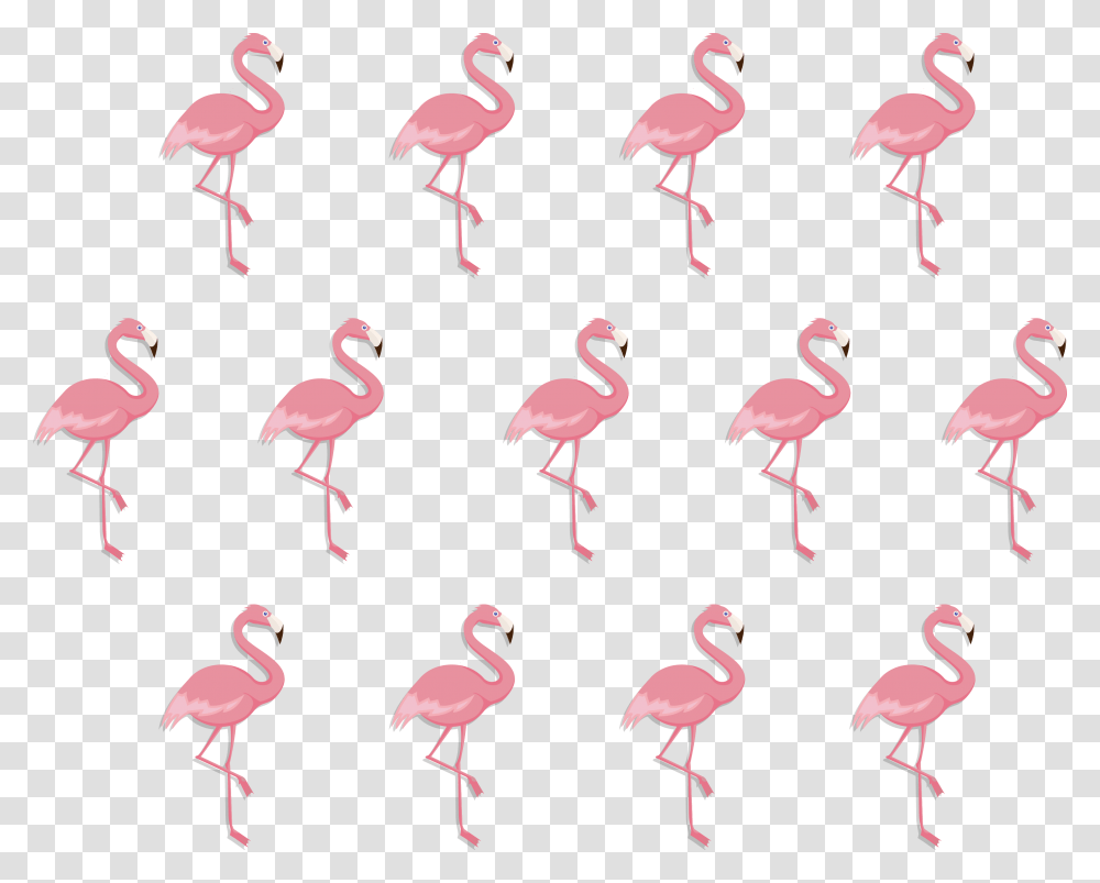 Flamingo Vector Background, Bird, Animal, Flock, Vegetation Transparent Png