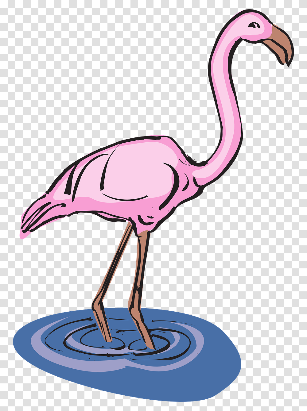 Flamingo Water Bird Free Picture Pink Flamingos In Water Clipart, Animal, Antelope, Wildlife, Mammal Transparent Png