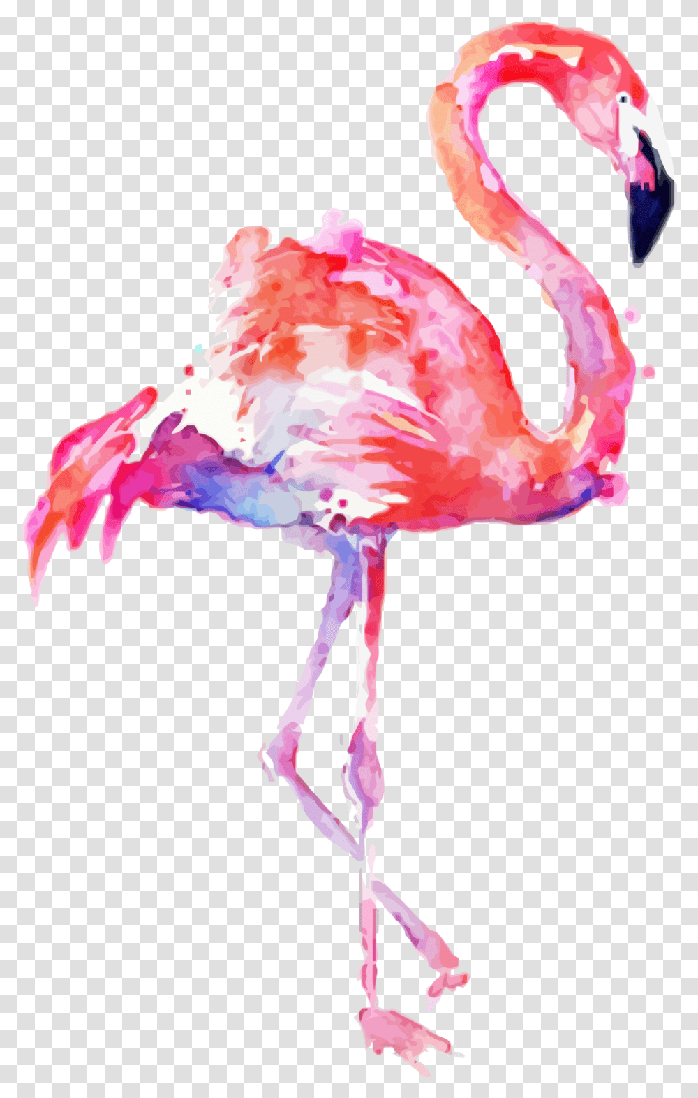 Flamingo Water Color Clip Art Background Flamingo, Bird, Animal Transparent Png