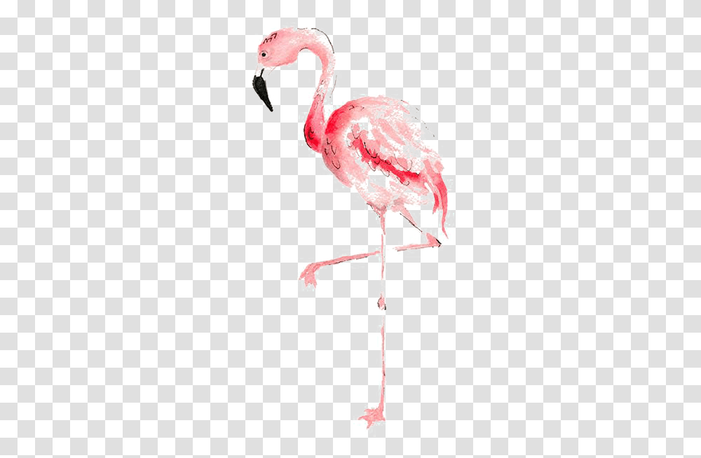 Flamingo Watercolor Painting Transprent Flamingo Wall Printable Free, Bird, Animal, Cross Transparent Png
