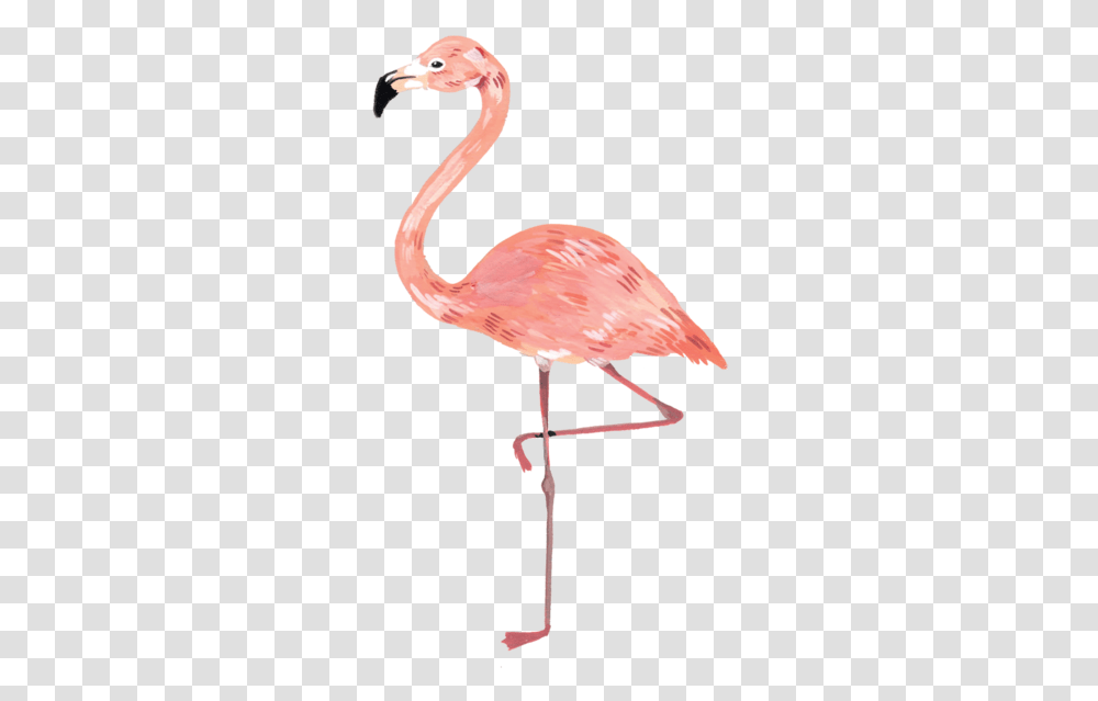 Flamingo With Crown Clipart, Bird, Animal, Lamp, Beak Transparent Png