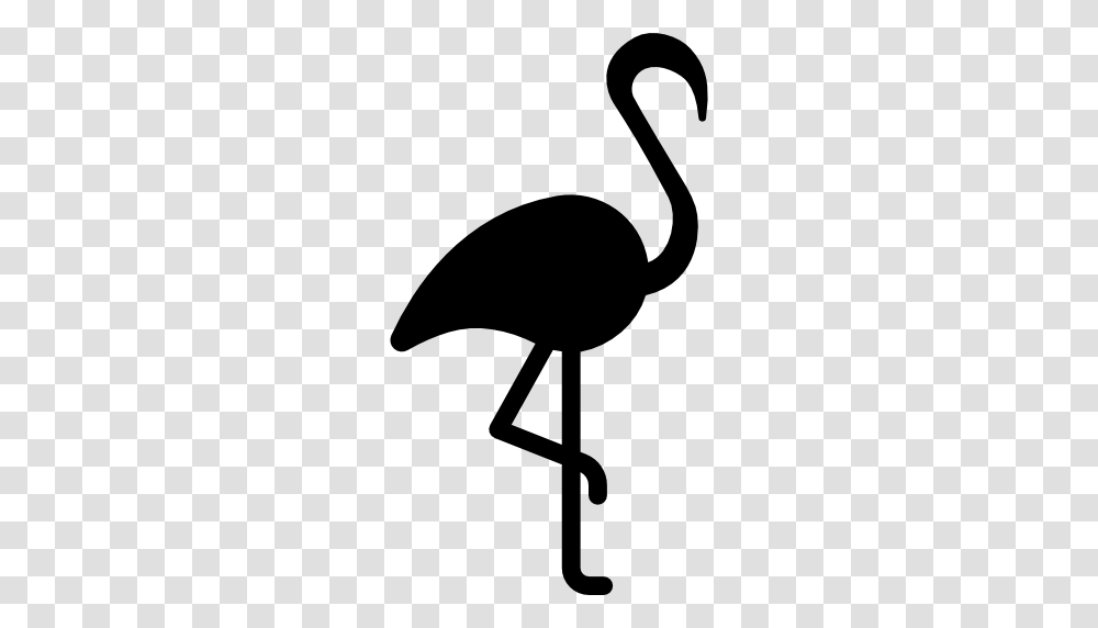 Flamingo With Leg Up, Bird, Animal, Lamp, Beak Transparent Png