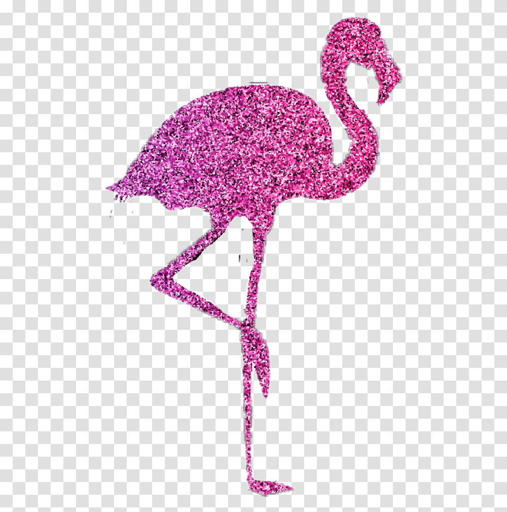 Flamingoglitter Pinkampblack Pink Black Flamingo De Gliter Em, Bird, Animal, Knitting, Cross Transparent Png