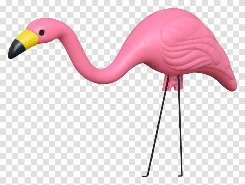 Flamingogreater Flamingobirdpinkwater Birdbeakneckanimal Plastic Flamingo Transparent Png