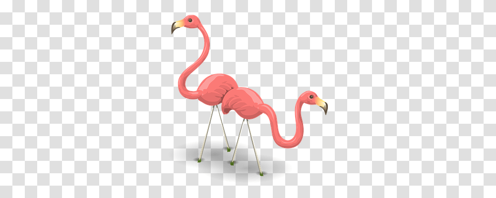 Flamingos Animals, Bird, Beak Transparent Png