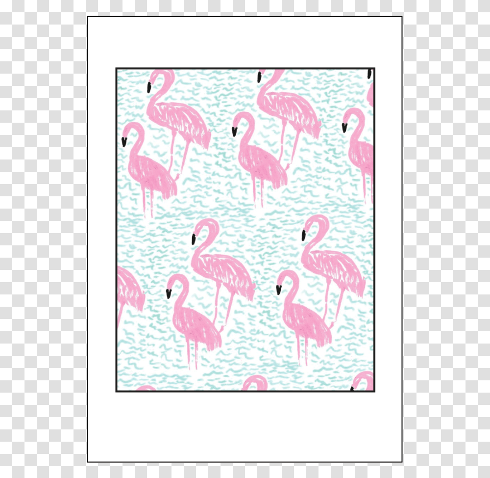 Flamingos, Bird, Animal Transparent Png