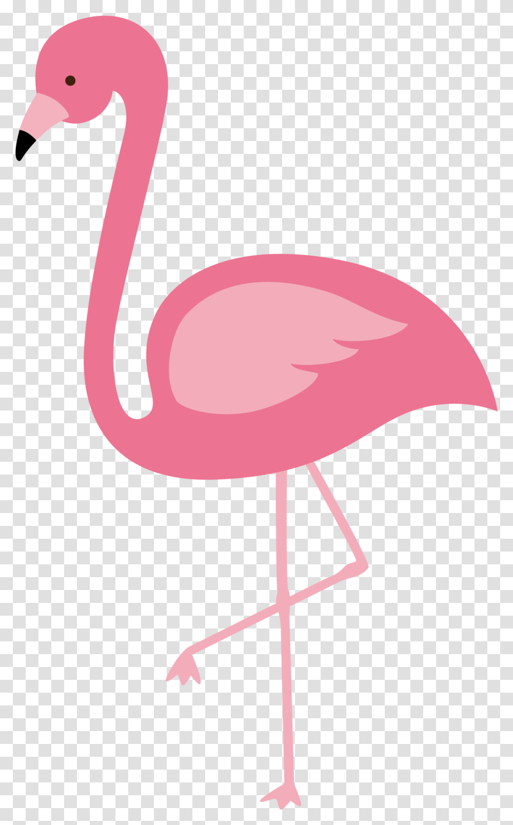 Flamingos Bird Euclidean Vector Flamingo Clip Art, Animal Transparent Png