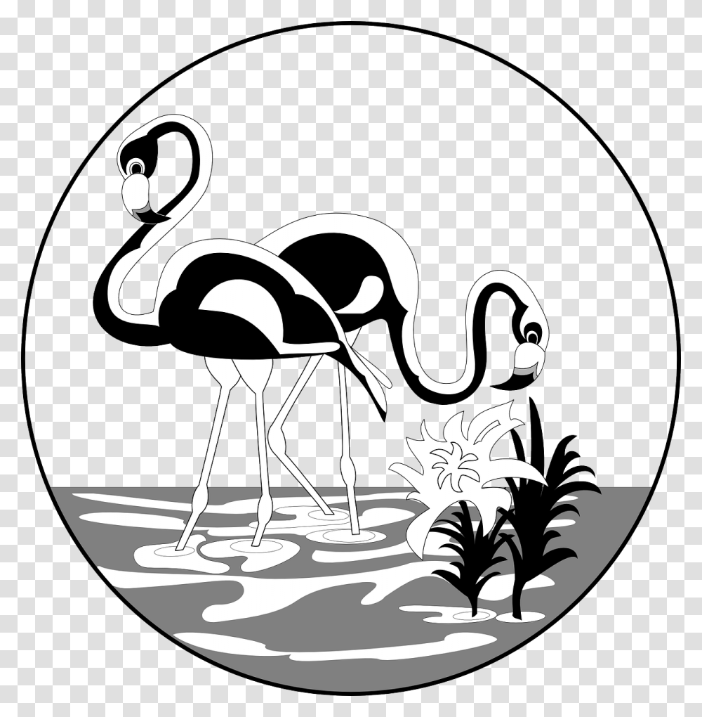 Flamingos Black And White, Bird, Animal, Stencil, Ostrich Transparent Png
