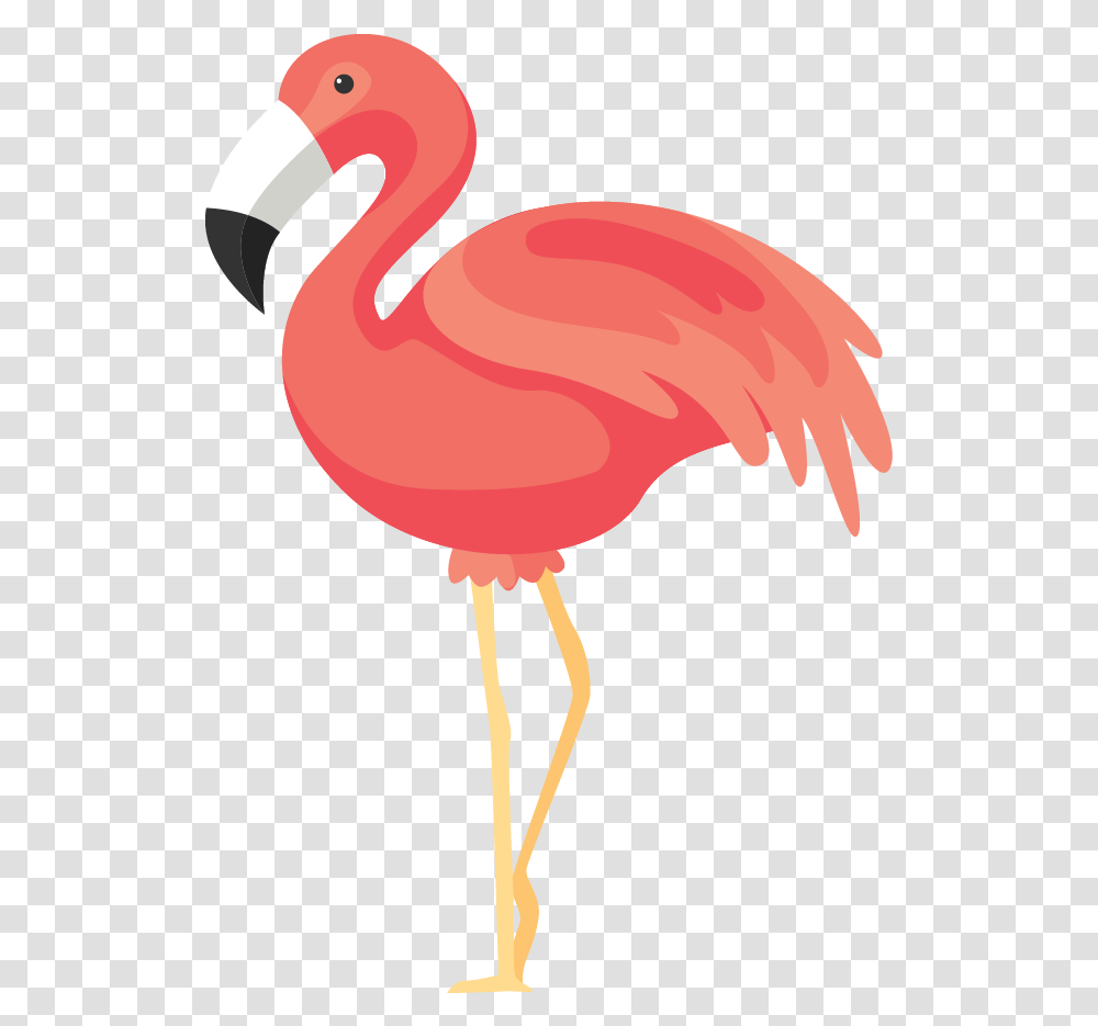 Flamingos Download Flamingo, Animal, Bird, Lamp Transparent Png