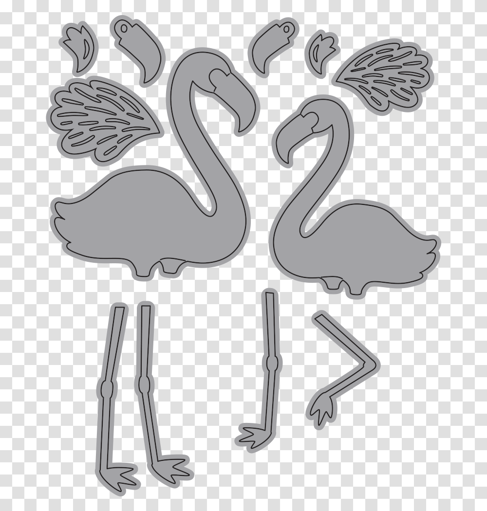 Flamingos Swan, Waterfowl, Bird, Animal Transparent Png