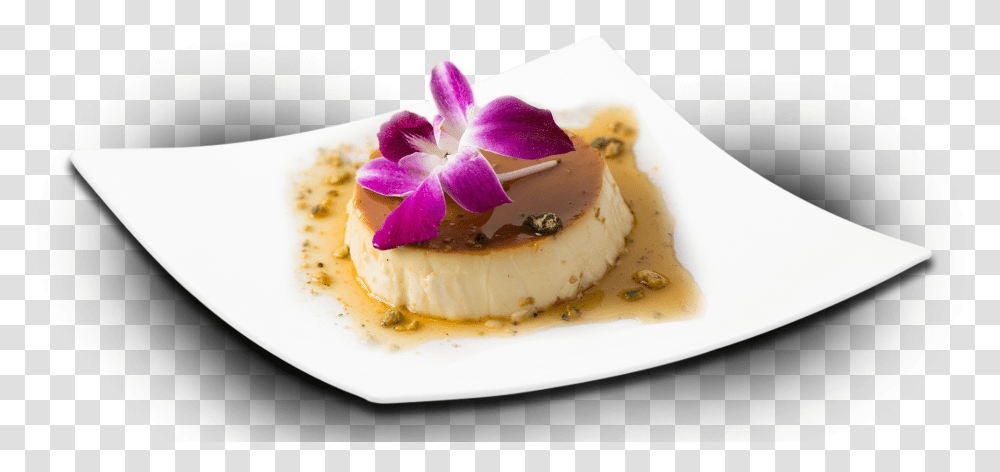 Flan, Petal, Flower, Plant, Dessert Transparent Png