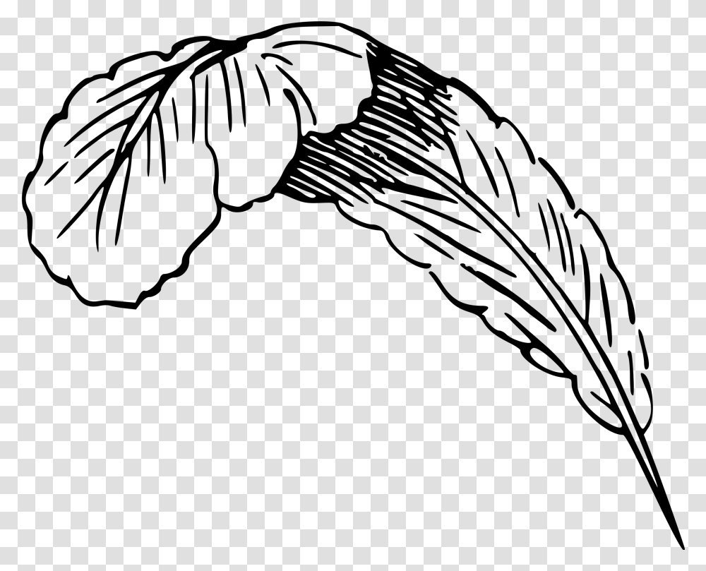 Flappers Drawing Feather Boa Clipart Feather Draw, Gray, World Of Warcraft Transparent Png