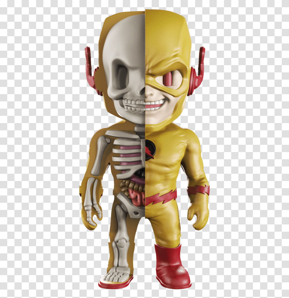 Flash Reverso, Head, Performer, Person, Face Transparent Png