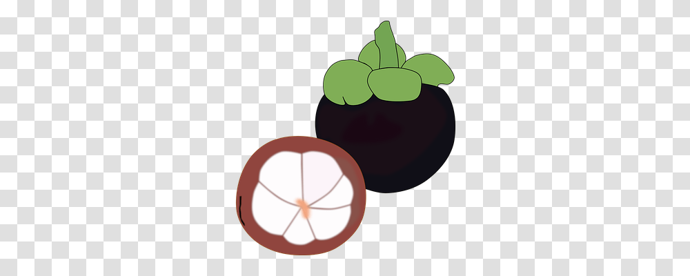 Flat Food, Plant, Lamp, Fruit Transparent Png