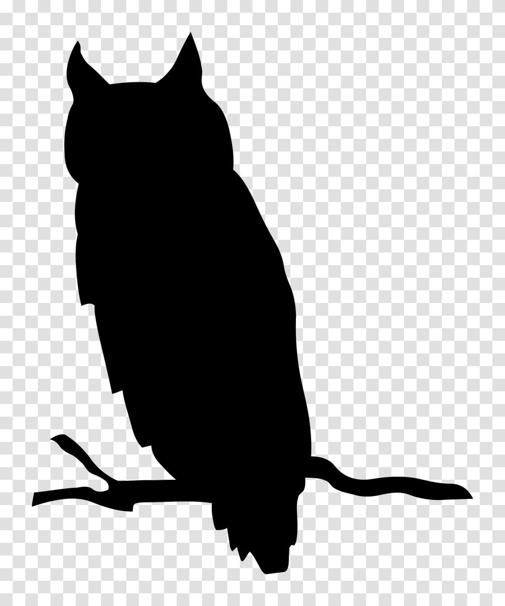 Flat F Clip Art Of Owl Bird, Gray, World Of Warcraft Transparent Png