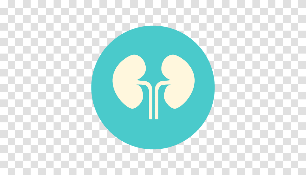 Flat Kidney Circle Icon, Hand, Light, Hip Transparent Png