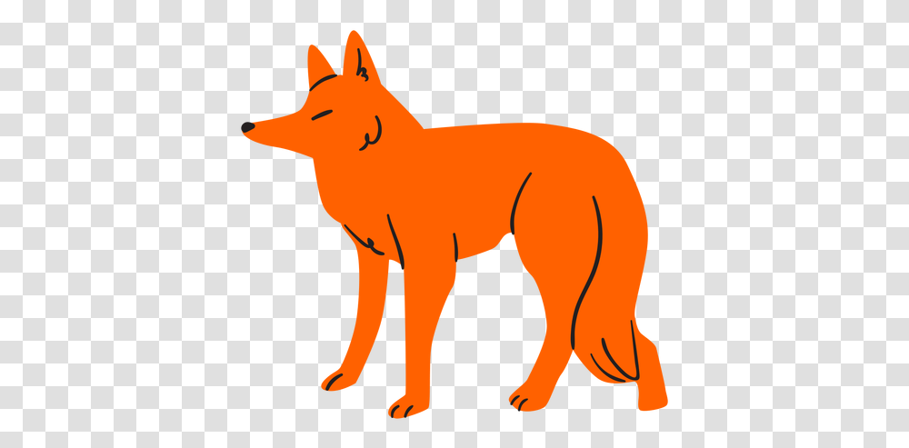 Flat Orange Fox Raposa Laranja, Mammal, Animal, Wildlife, Coyote Transparent Png