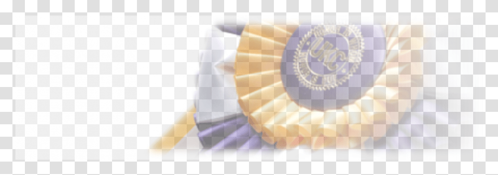 Flat Ribbon, Sweets, Food, Confectionery, Purple Transparent Png