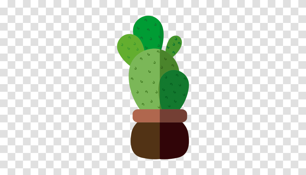Flat Rounded Cactus Pot Illustration, Plant Transparent Png