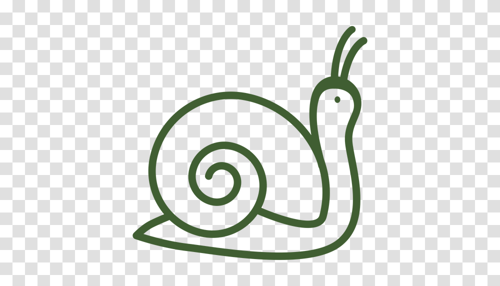 Flat Snail Icon, Spiral, Coil, Plant Transparent Png