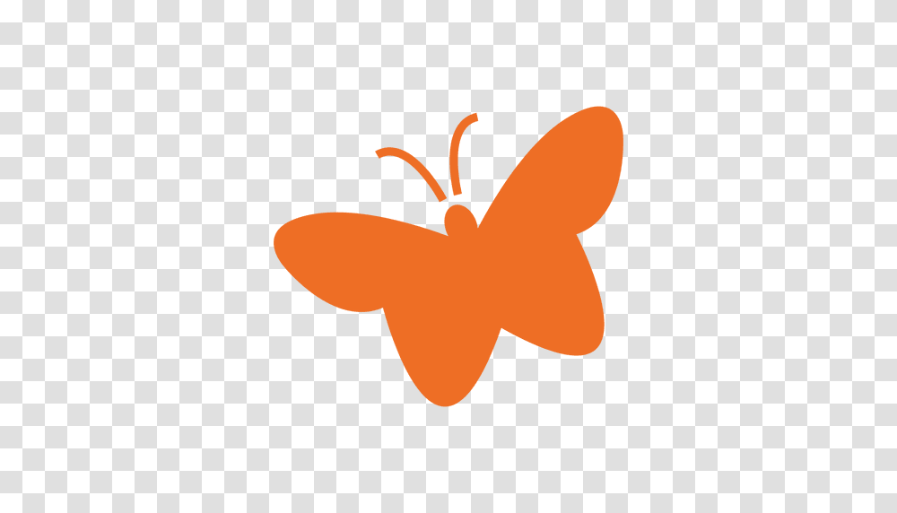 Flat St Patrick Butterfly, Plant, Flower, Blossom, Pollen Transparent Png