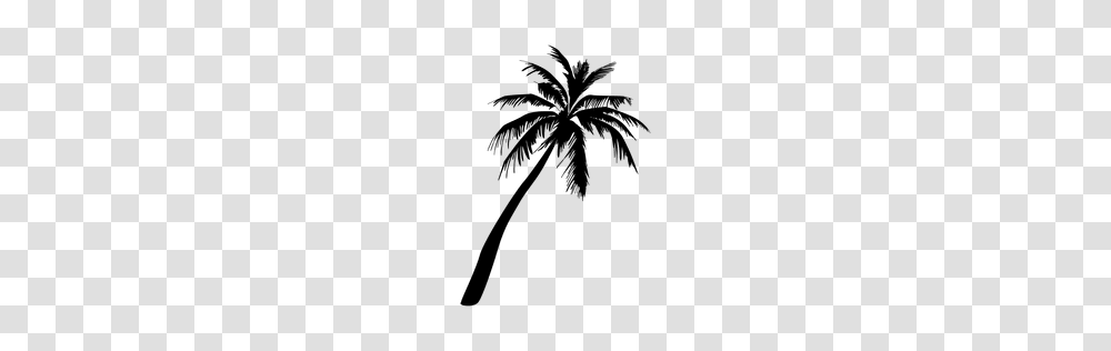 Flat Tree Silhouette, Palm Tree, Plant, Arecaceae, Bow Transparent Png