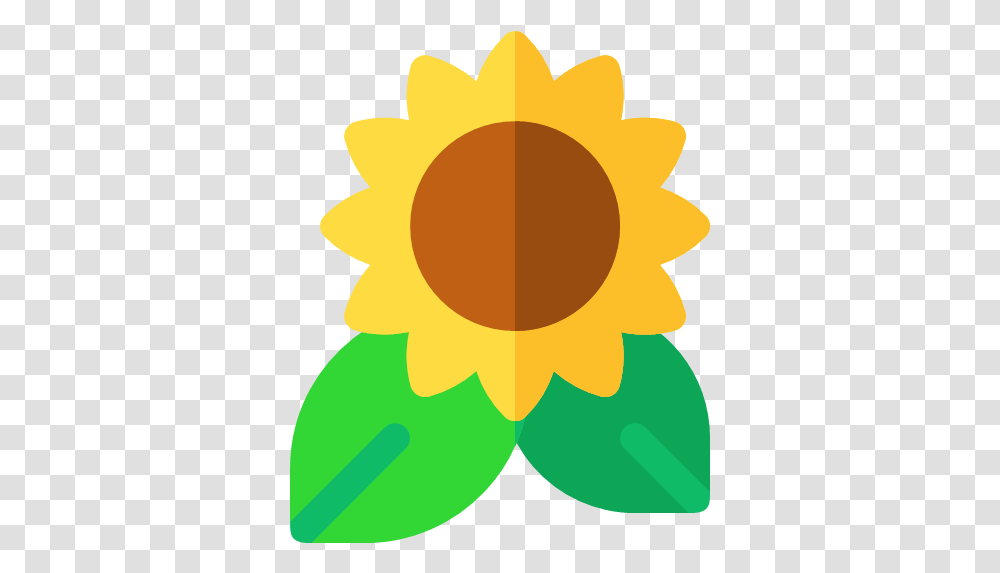 Flat Version Sunflower Icon, Plant, Blossom, Outdoors, Nature Transparent Png