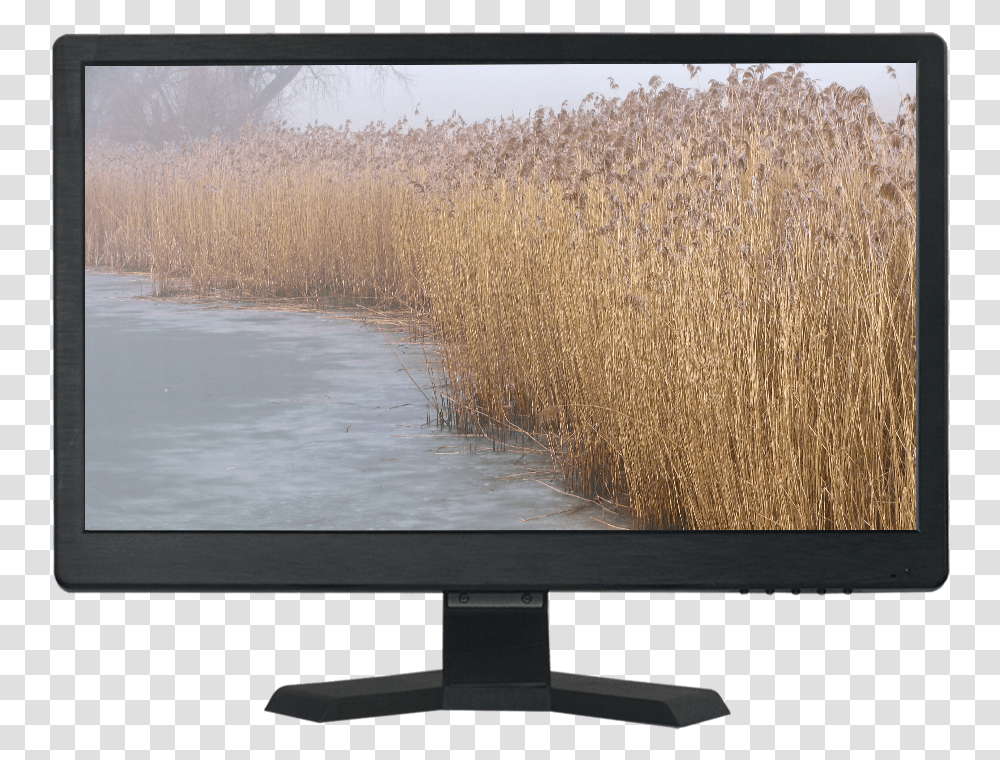 Flatscreen Tv, Grass, Plant, Monitor, Electronics Transparent Png