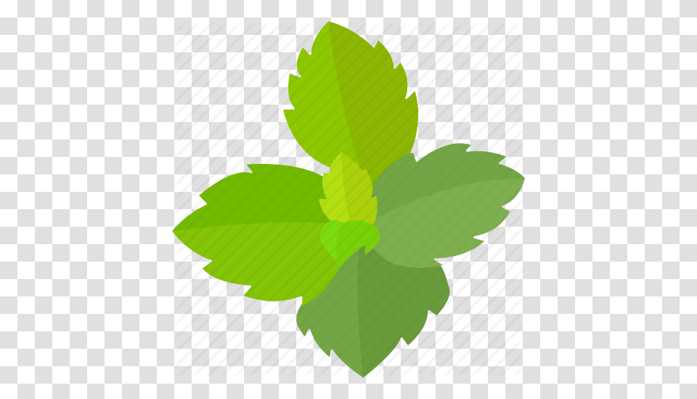 Flavor Flavoring Herb Leaves Mint Peppermint Spearmint Icon, Leaf, Plant, Green, Vase Transparent Png