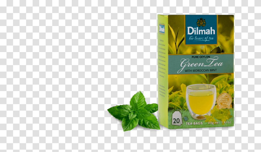 Flavored Green Tea Dilmah Pure Ceylon Green Tea With Moroccan Mint, Potted Plant, Vase, Jar, Pottery Transparent Png