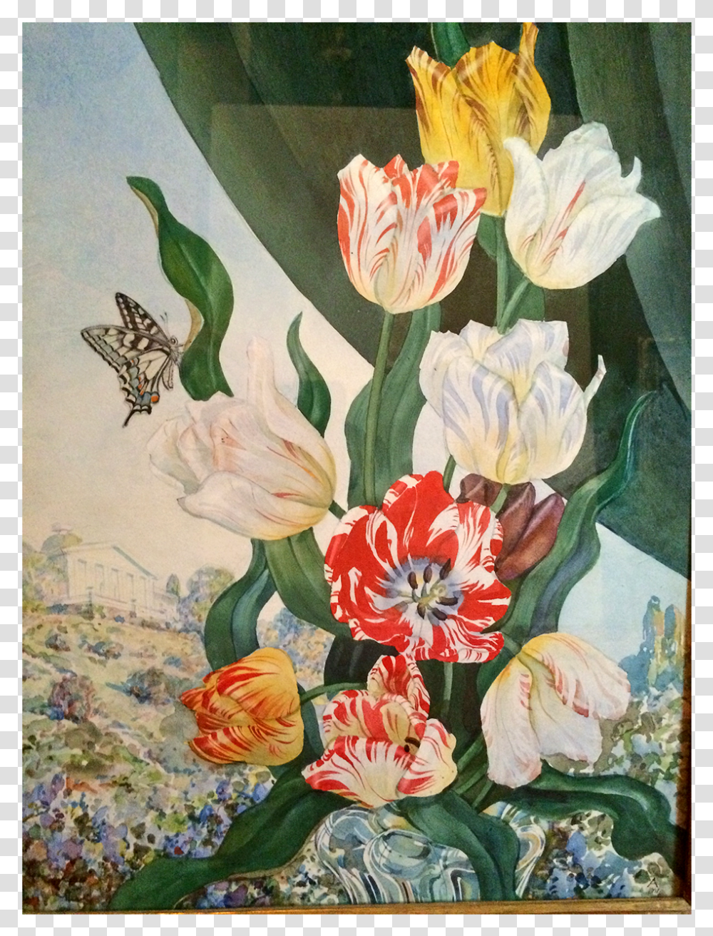 Flax Leaved Tulip, Floral Design, Pattern Transparent Png