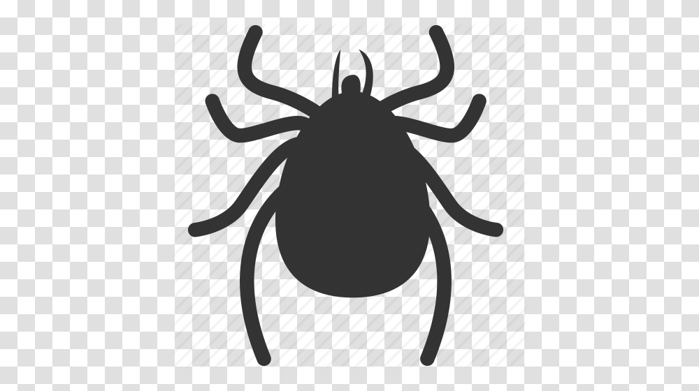 Flea Black And White Flea Black And White, Animal, Tick, Invertebrate, Spider Transparent Png