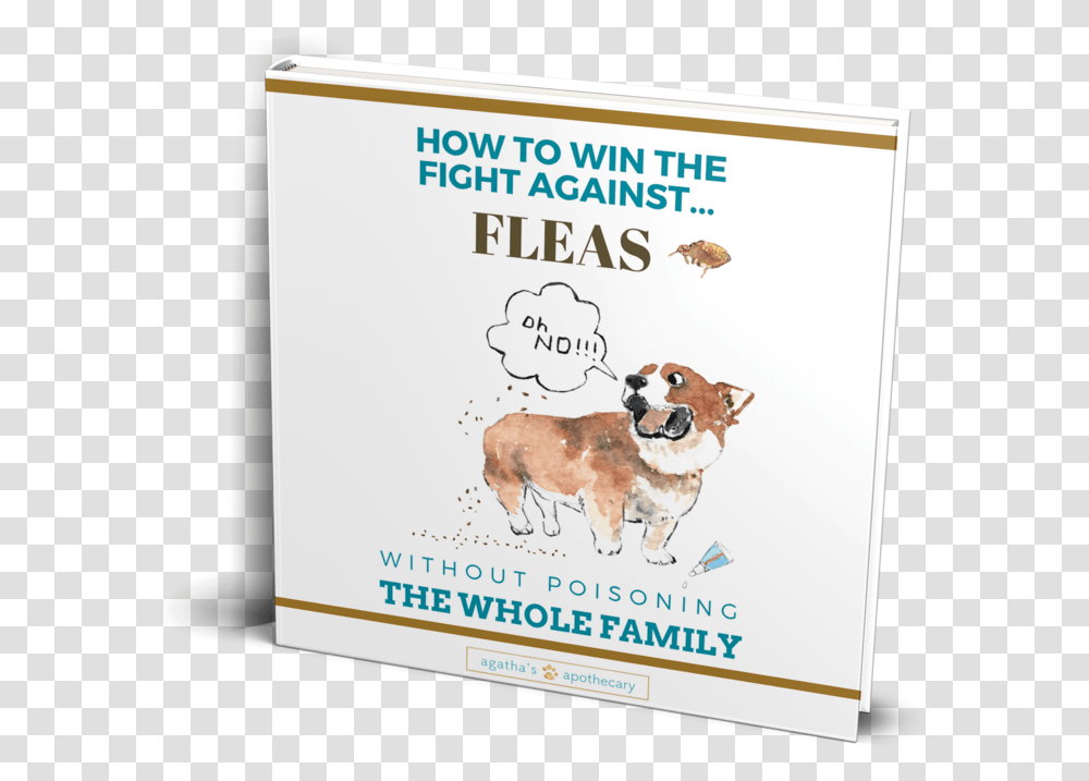 Flea Free Book Companion Dog, Advertisement, Poster, Pet Transparent Png