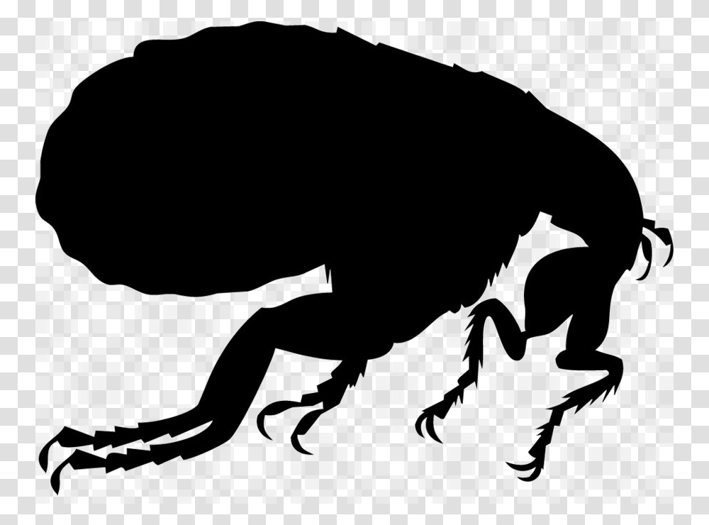 Flea High Quality Image Arts, Animal, Silhouette, Wildlife, Person Transparent Png