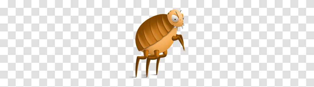 Flea, Insect, Architecture, Building, Worship Transparent Png