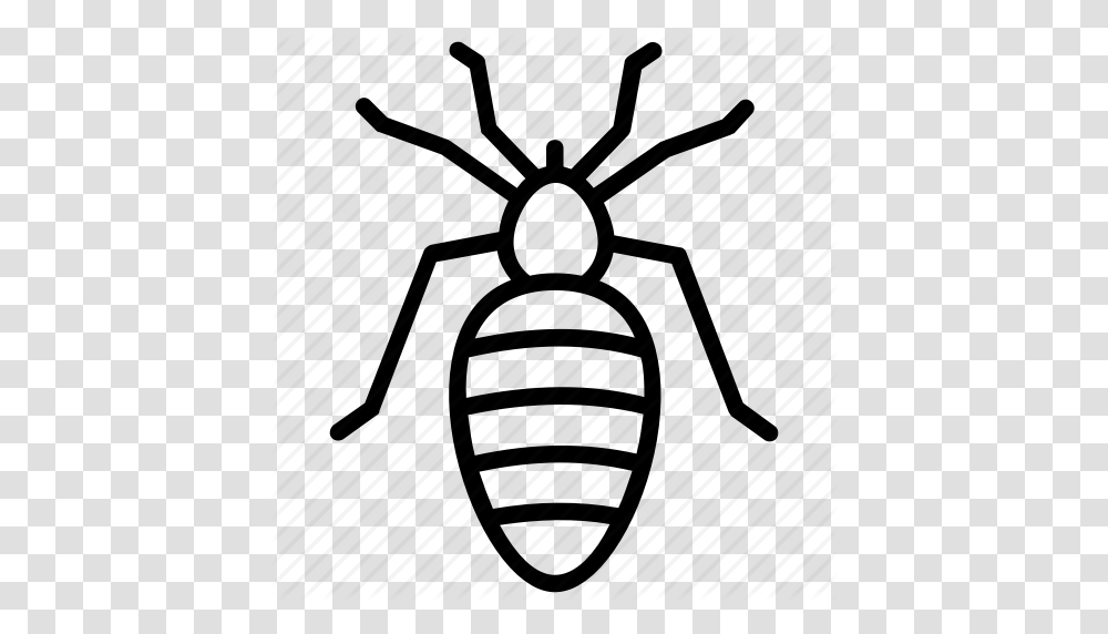 Flea Insect Pest Insect Sand Fleas Tick Icon, Invertebrate, Animal, Ant, Dung Beetle Transparent Png
