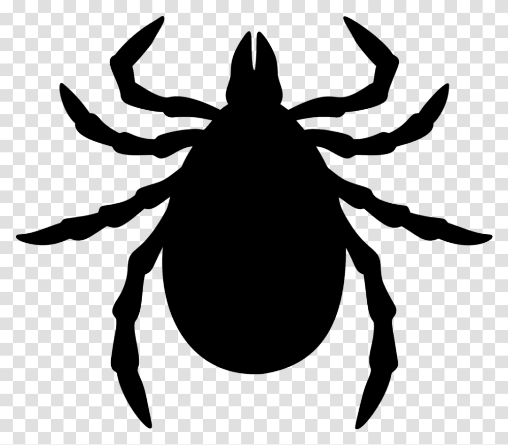 Fleas Amp Ticks Bug Tick Clipart, Gray, World Of Warcraft Transparent Png