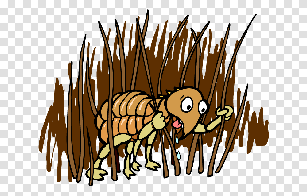 Fleas Flea Cartoon, Insect, Invertebrate, Animal, Bee Transparent Png